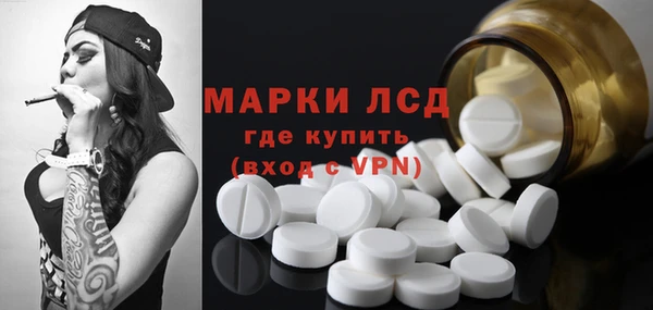 тгк Бородино