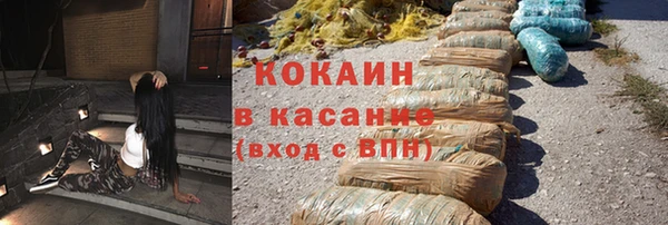 тгк Бородино