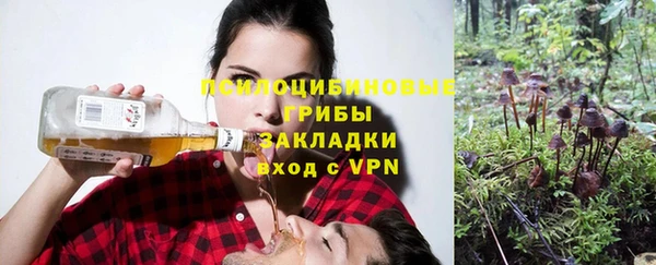 тгк Бородино