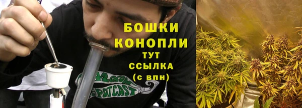 тгк Бородино