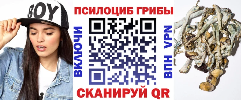 Галлюциногенные грибы мицелий  даркнет сайт  Дальнереченск 